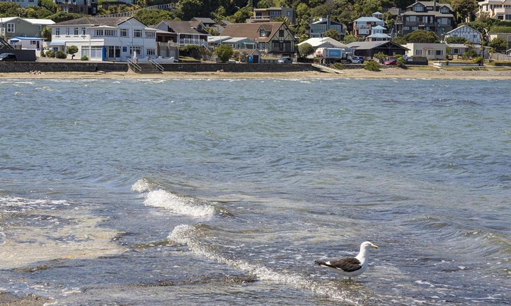 Moana Lodge Plimmerton Kültér fotó