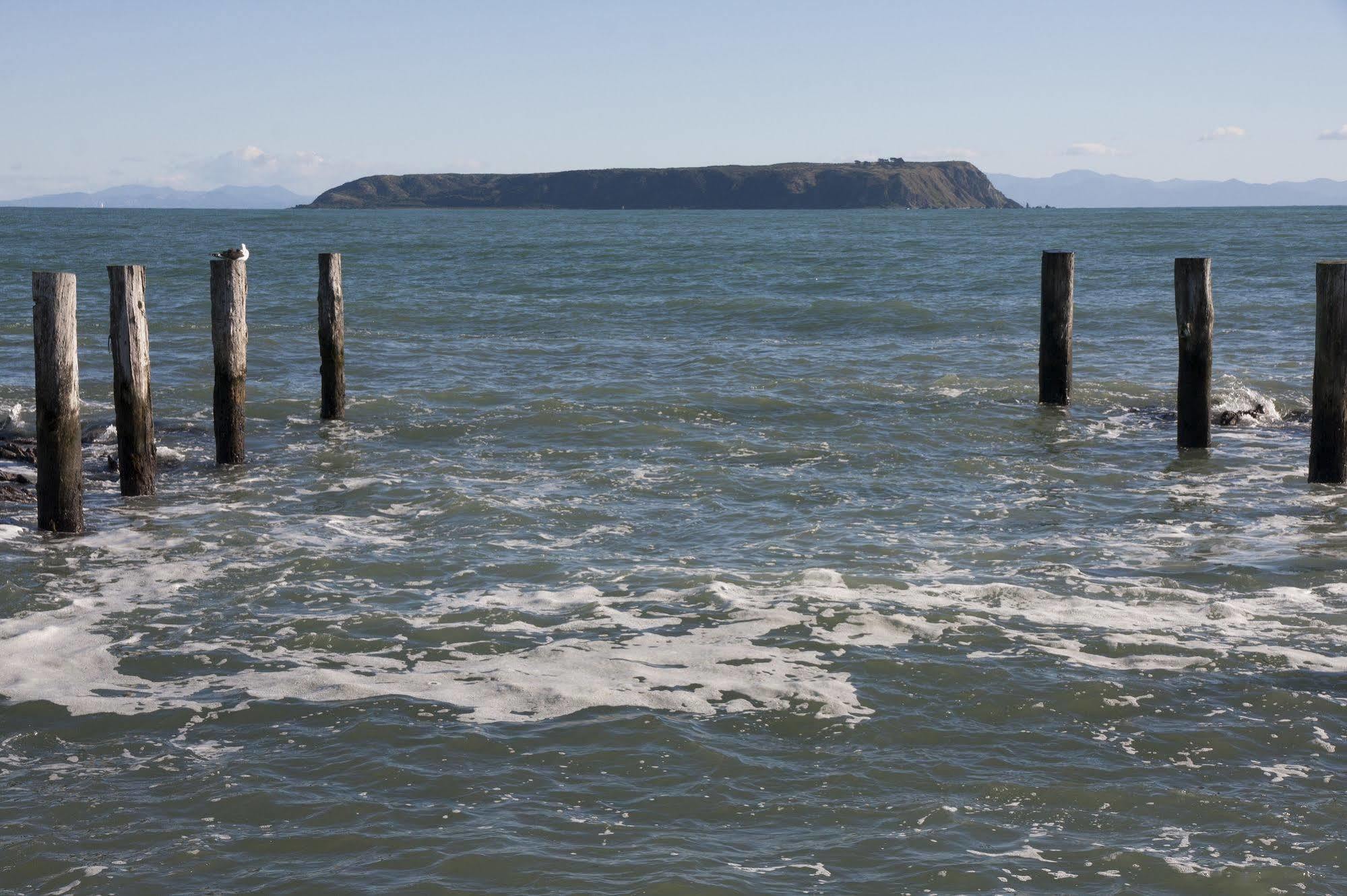 Moana Lodge Plimmerton Kültér fotó